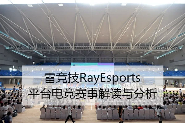 雷竞技RayEsports平台电竞赛事解读与分析